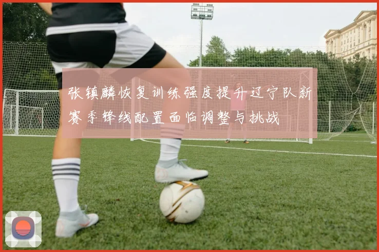 张镇麟恢复训练强度提升辽宁队新赛季锋线配置面临调整与挑战